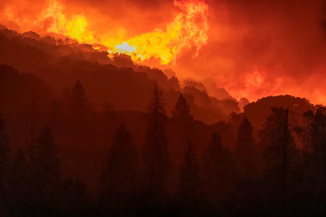 From Green to Gold: Five Ways CFOs Can Benefit from Climate Risk Disclosure