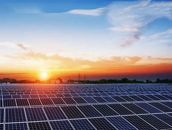 2021 Outlook: Why and How CFOs Should Lead ESG Efforts