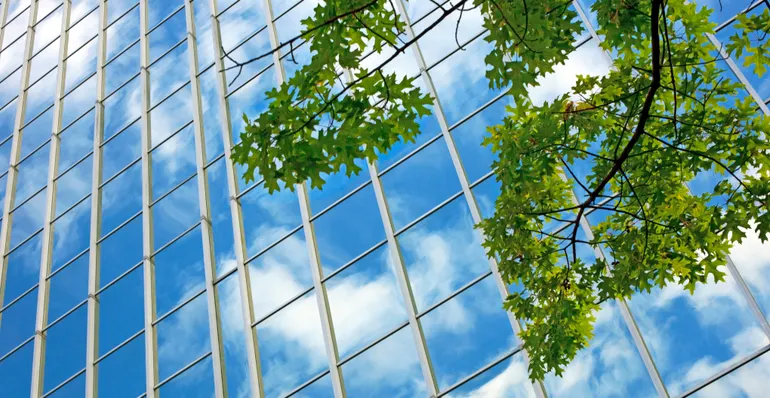 The ESG Wave Reshapes the CFO Role: From Financial Gatekeeper to Sustainable Value Navigator
